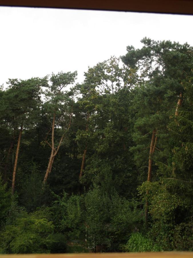 De Loteling Zoersel Zewnętrze zdjęcie